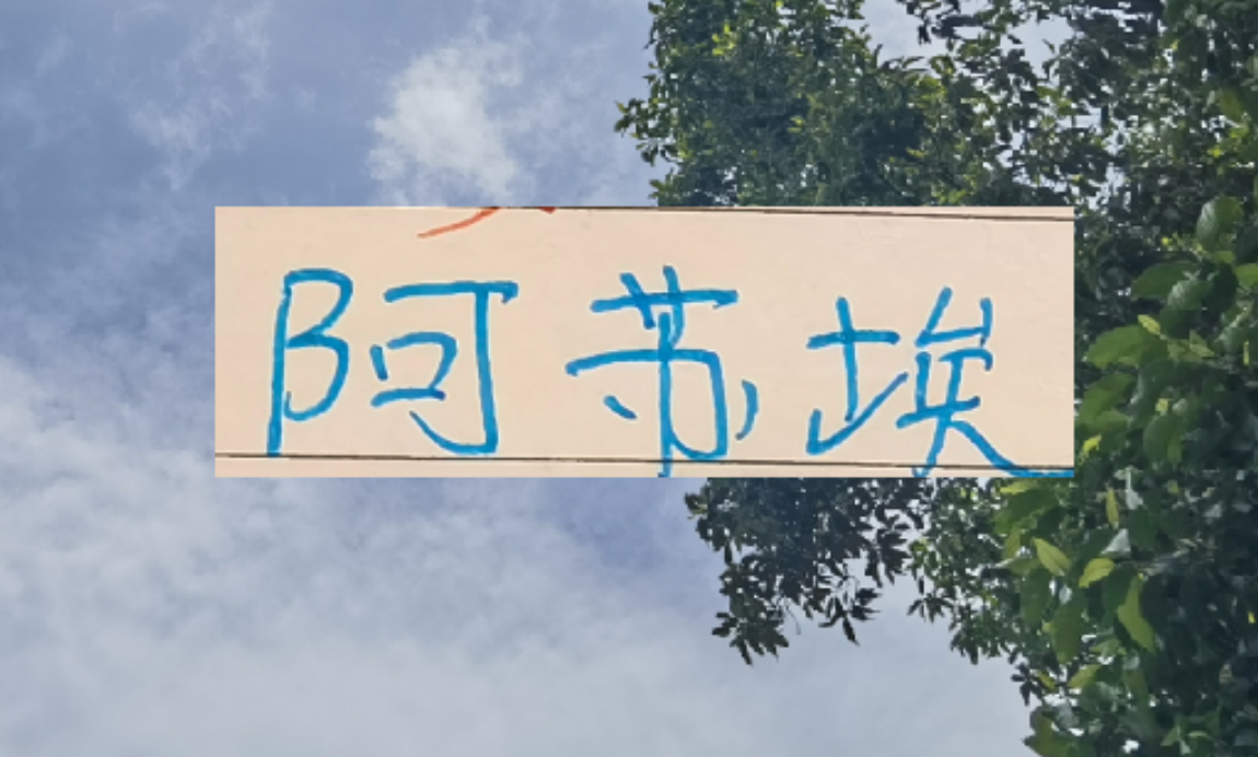 华体会体育app下载-还差一个外援！到时候是阿苏埃出现 还是申花新的大鱼上岸？